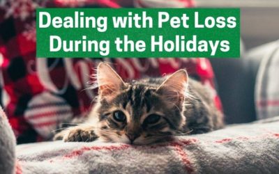 Dealing with the Loss of a Pet During the Holidays