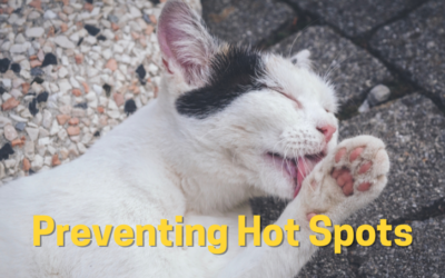 Preventing Hot Spots