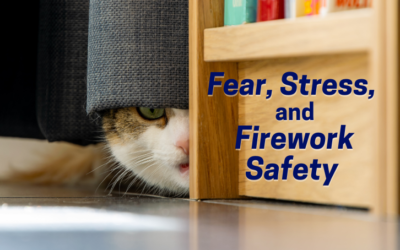 Fear, Stress, and Firework Safety