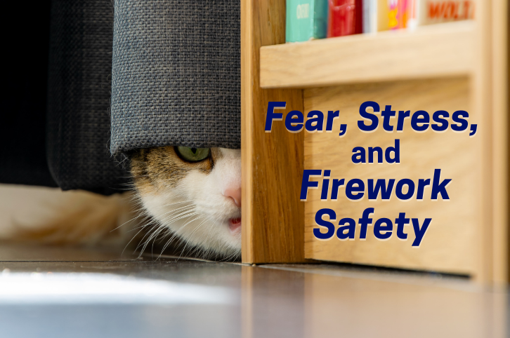 Pet Firework Safety