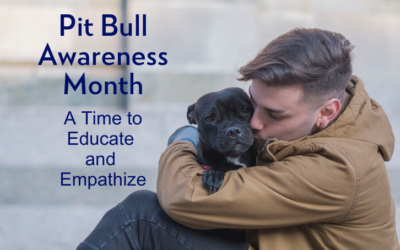 Pit Bull Awareness Month – A Time to Educate and Empathize