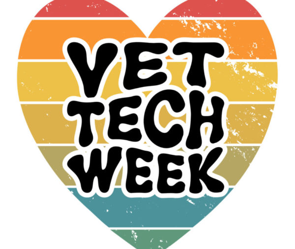 National Veterinary Technician Week – A Time to Reflect on the Dedication of Our Veterinary Technicians