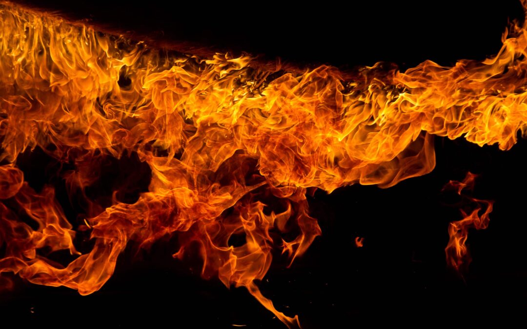 Fire-Ready Furry Friends Protecting Pets in an Emergency