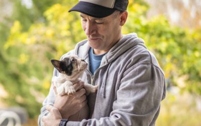 Comfort in Companionship: Pets for Veterans