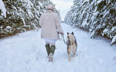 Frostbite, Ice, and Antifreeze: Winter Dangers Every Pet Owner Should Know